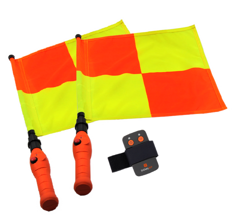 Signal Bip Flags